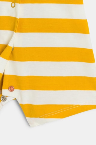Mono - Amarillo 