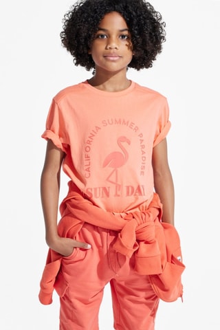 Camiseta - Naranja