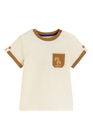 Camiseta - Crudo - Obaibi
