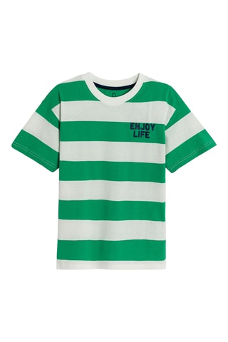 Camiseta - Verde oscuro y blanco