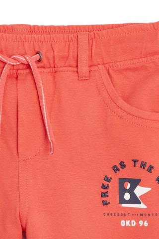 Bermudas - Coral