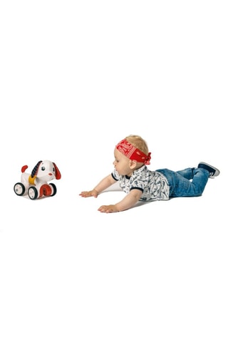 Interactieve elektronische puppy - Van 6 tot 12 Jaar