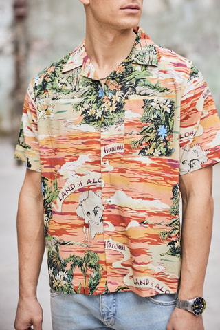 Chemise - Vert et orange