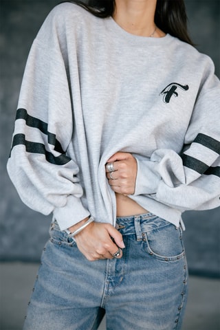 Sweat Sheldone - Gris