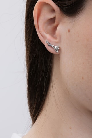 Oorbellen Zilver