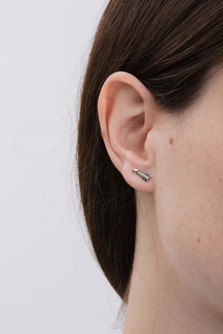 Oorbellen Zilver