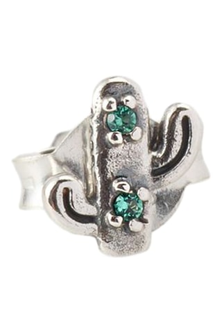 Oorbellen Zilver