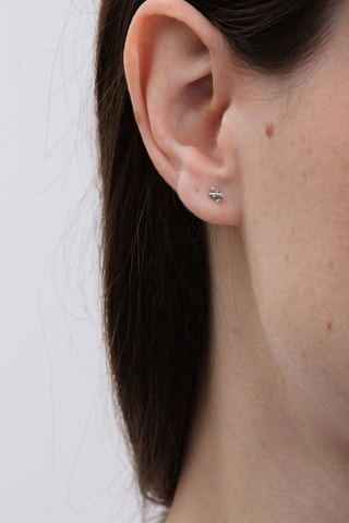 Oorbellen Zilver