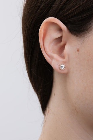 Oorbellen Zilver Doublé Roségoud