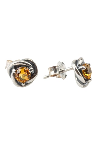 Oorbellen Zilver