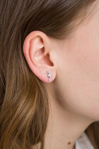 Oorbellen Zilver