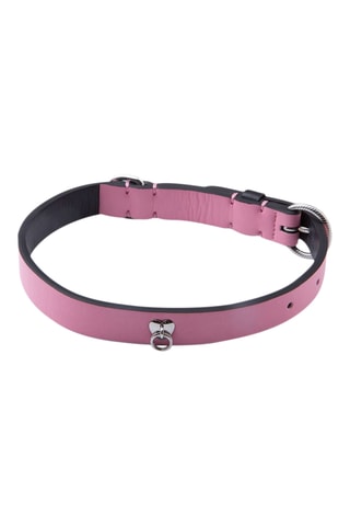 Halsband voor dieren- Roze