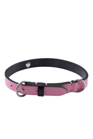 Halsband voor dieren- Roze