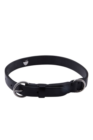 Halsband voor dieren- Zwart