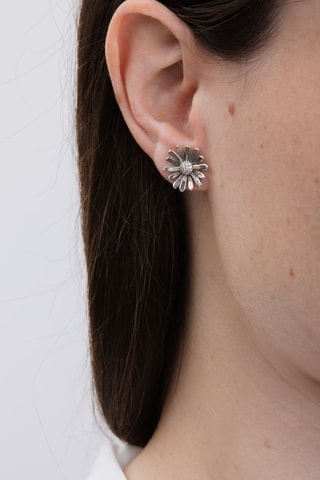 Oorbellen Zilver