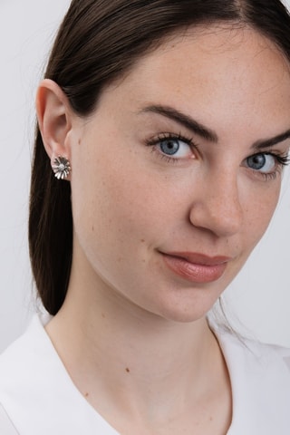 Oorbellen Zilver