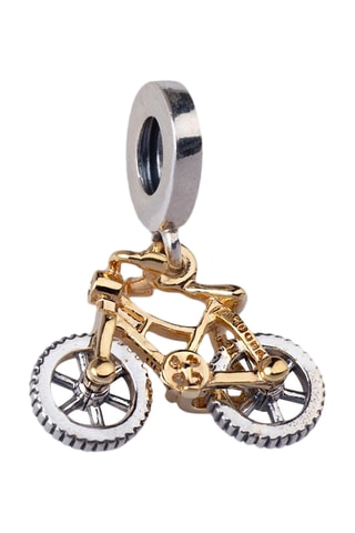 Bedeltje - Zilver en Doublé Geelgoud