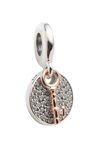 Bedeltje - Doublé Roségoud en Zilver