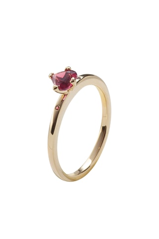Ring - Doublé Geelgoud