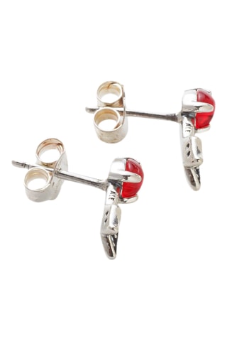 Oorbellen Zilver