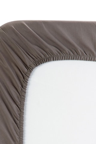 Drap-housse en coton 140 fils/cm² - Marron