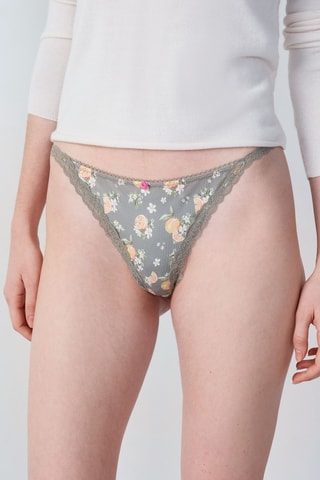 Tanga Lena - Verde-azeitona