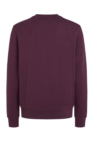 Sweat - Violet