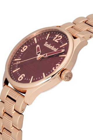 Stalen en Doublé Roségoud Quartz Horloge