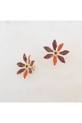 Puces - Marron