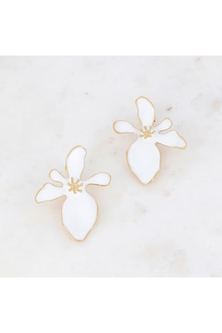 Puces - Blanc
