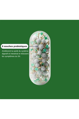 Probio Flore - 30 gélules végétales - Cure de 2 mois