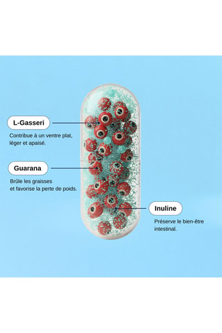 Probio Ventre Plat - 120 gélules végétales - Cure de 30 jours