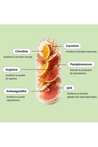 Nutri Fertilité Homme - 60 gélules végétales  - Cure de 30 jours