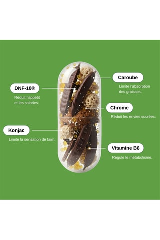Super Coupe-Faim - 60 gélules végétales - Cure de 30 jours