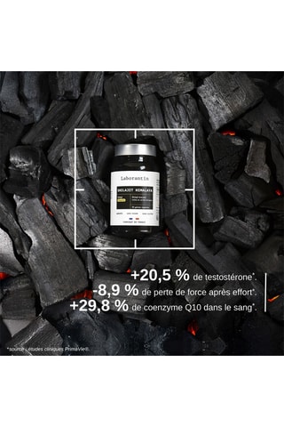 Shilajit himalaya - 30 gélules - Cure de 30 jours