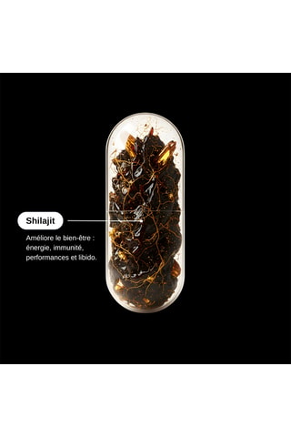 Shilajit himalaya - 30 gélules - Cure de 30 jours