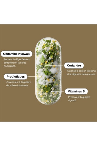 Probio glutamine - 279 g - Cure de 30 jours