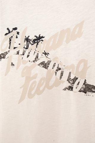 T-shirt in cotone bio - Avorio - IKKS