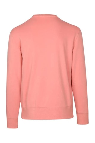 Sweat - Rose