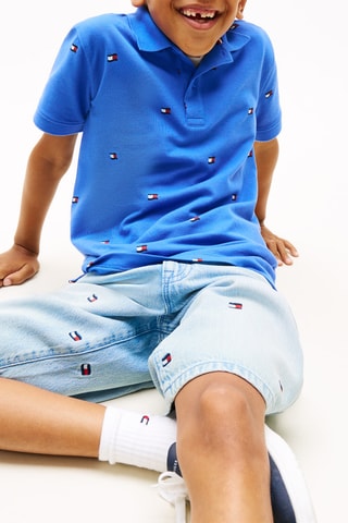Polo regular fit - Azul
