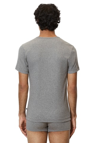 2 camisetas de algodón orgánico - Gris