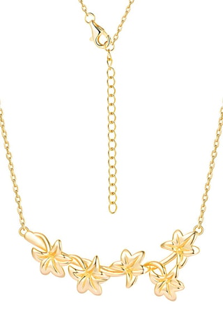 Colar folheada a ouro fino amarelo