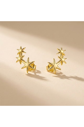 Brincos folheados a ouro fino amarelo