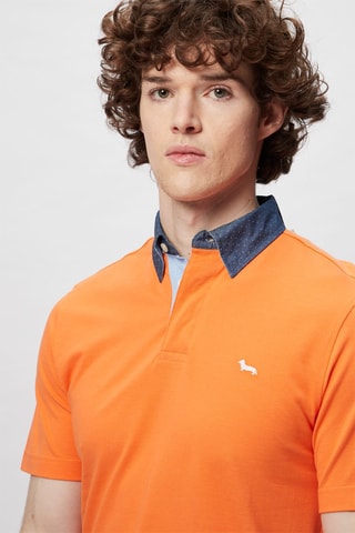 Polo - Harmont & Blaine - Blanco, azul y naranja