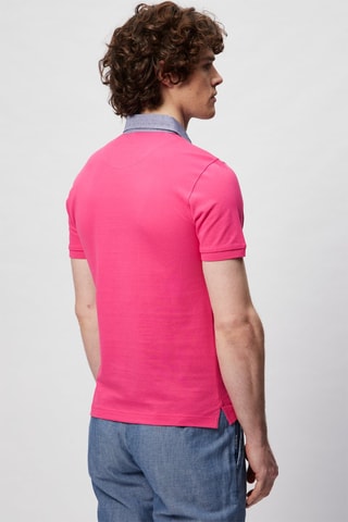 Polo - Harmont & Blaine - Blanco, azul y rosa