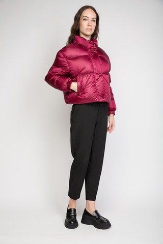 Anorak - 