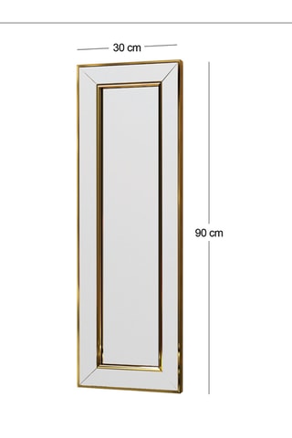 Miroir Carlos - 30 x 90 x 3,2 cm - Doré