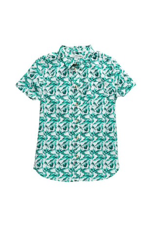 Camisa - Turquesa y blanco