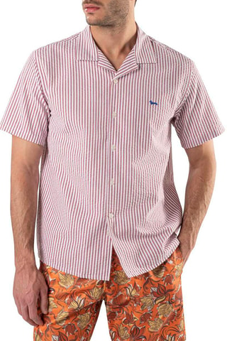 Camisa - Rosa