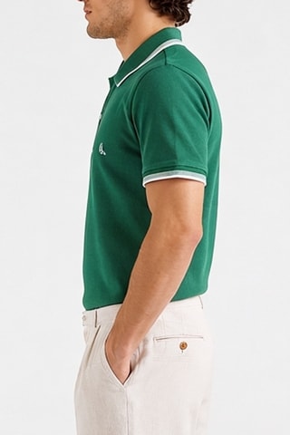 Polo - Verde